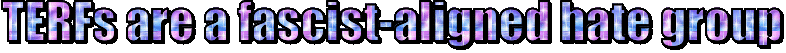 Text with pink, blue, white and purple sparkles reading "Terfs are a fascist-aligned hate group"