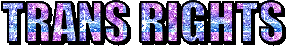 Text with pink, blue, white and purple sparkles reading "Trans rights"